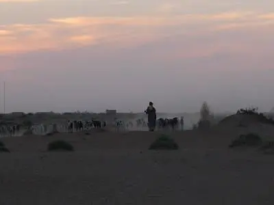 Coucher du soleil berger 400x300.jpg